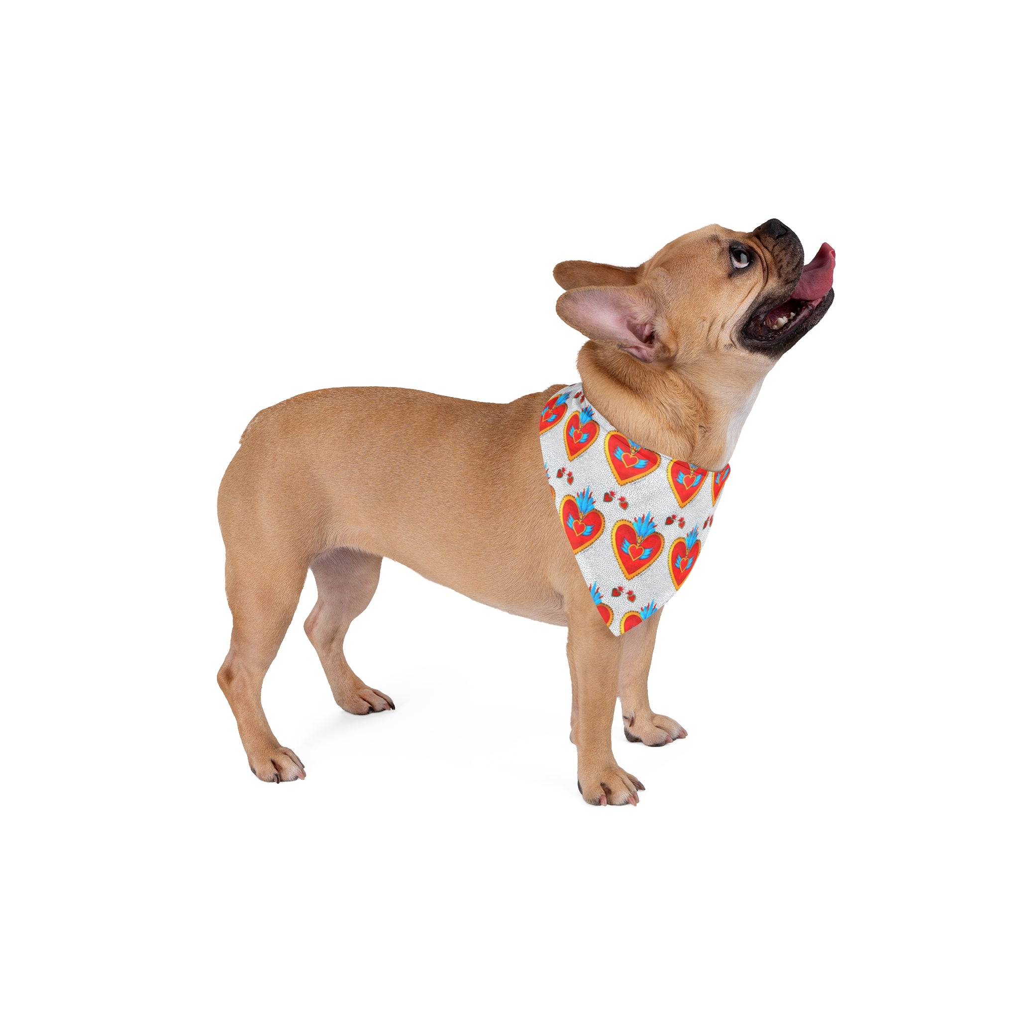 Corazón de Hojalata — Pet Bandana | Alma Ligera