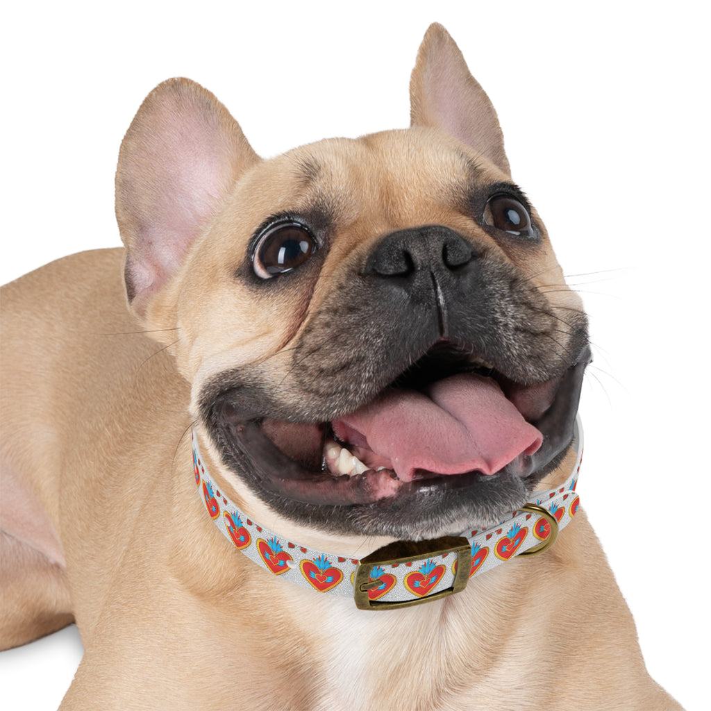 Collier pour chien motif Sacré-Cœur — Motif cœur coloré d'art populaire pour animaux de compagnie