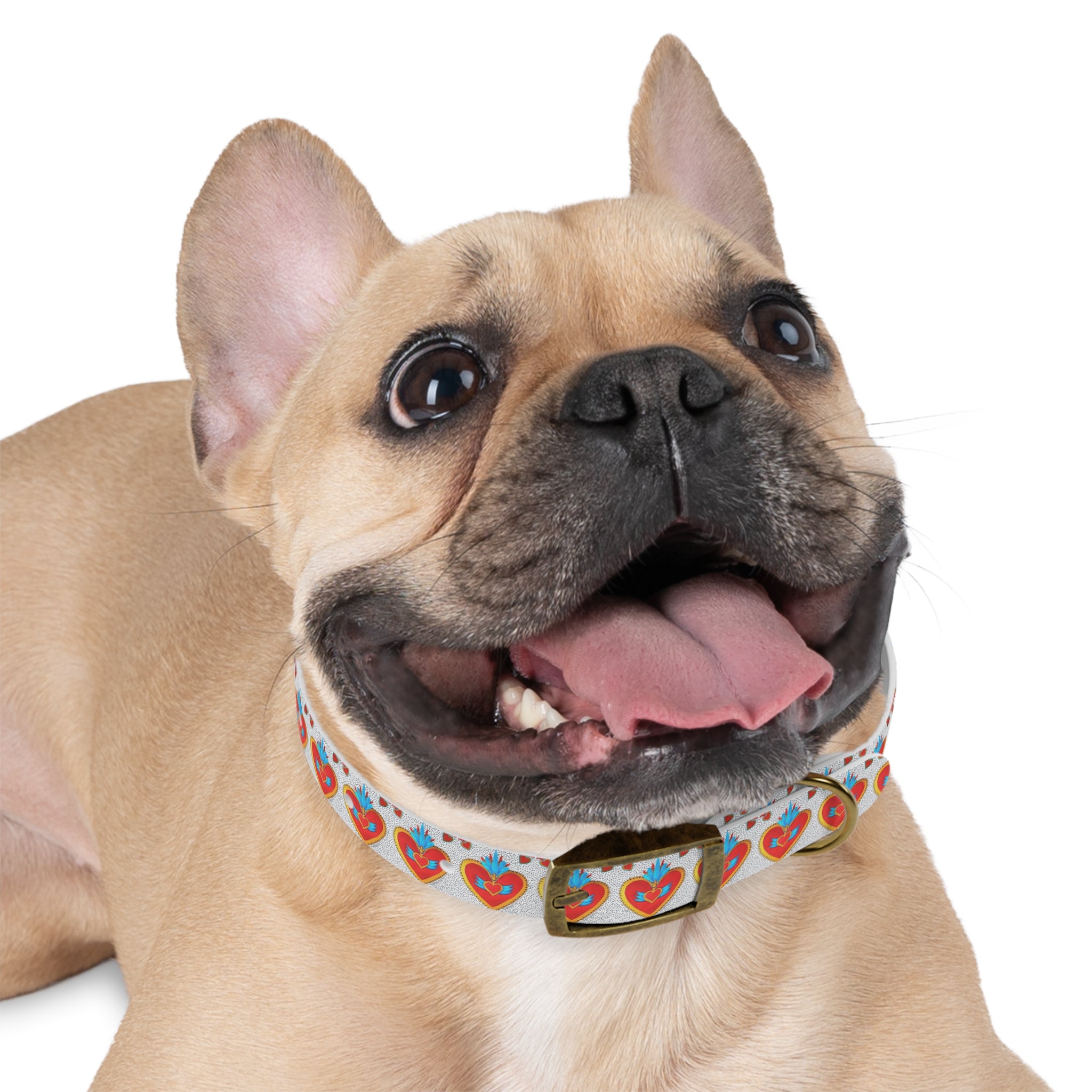 Collier pour chien motif Sacré-Cœur — Motif cœur coloré d'art populaire pour animaux de compagnie