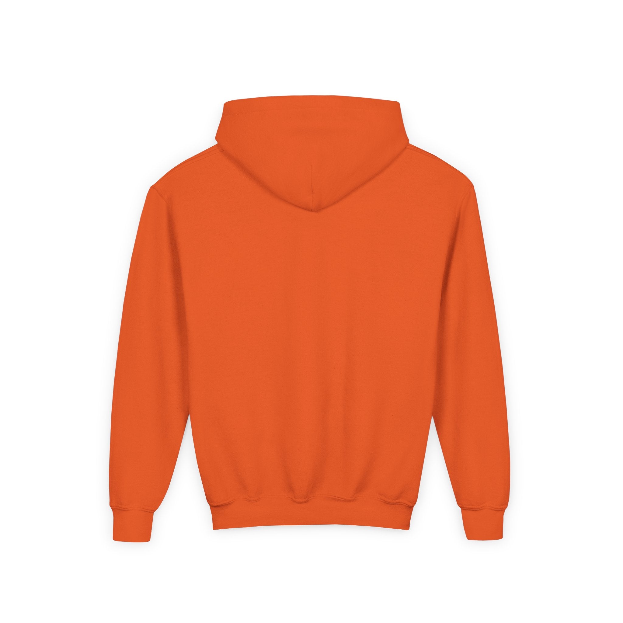 Youth Hoodie — Colorful Folk Art Animal Masks Pullover