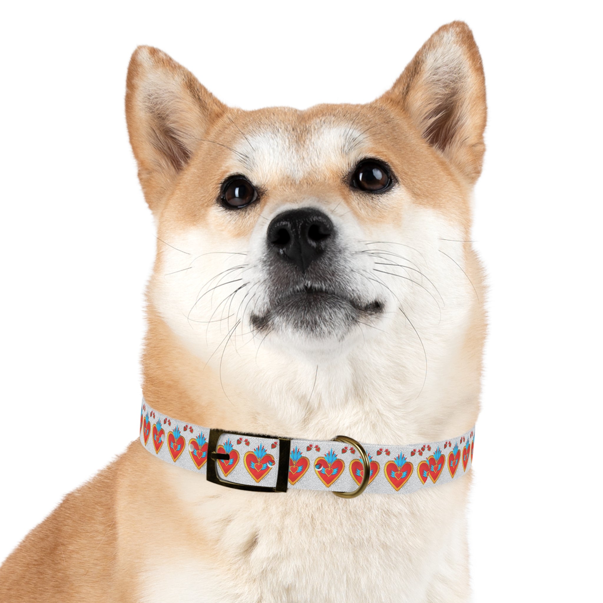 Collier pour chien motif Sacré-Cœur — Motif cœur coloré d'art populaire pour animaux de compagnie