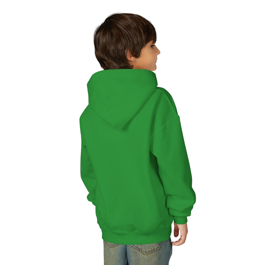Youth Hoodie — Colorful Folk Art Animal Masks Pullover