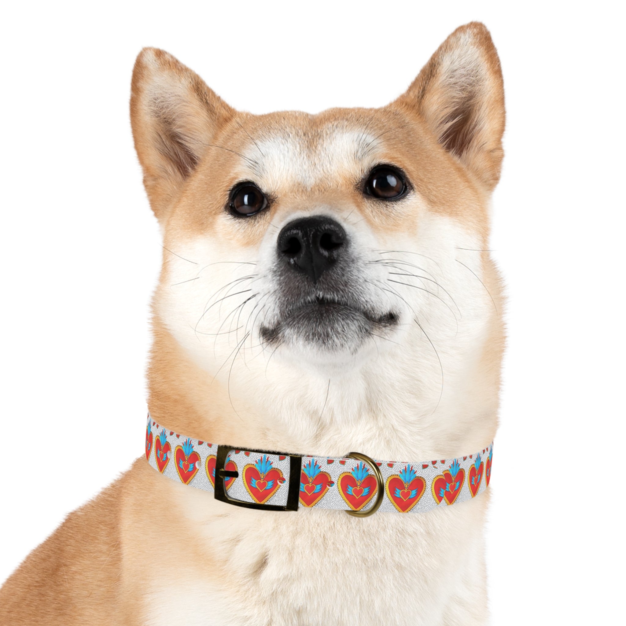 Collier pour chien motif Sacré-Cœur — Motif cœur coloré d'art populaire pour animaux de compagnie