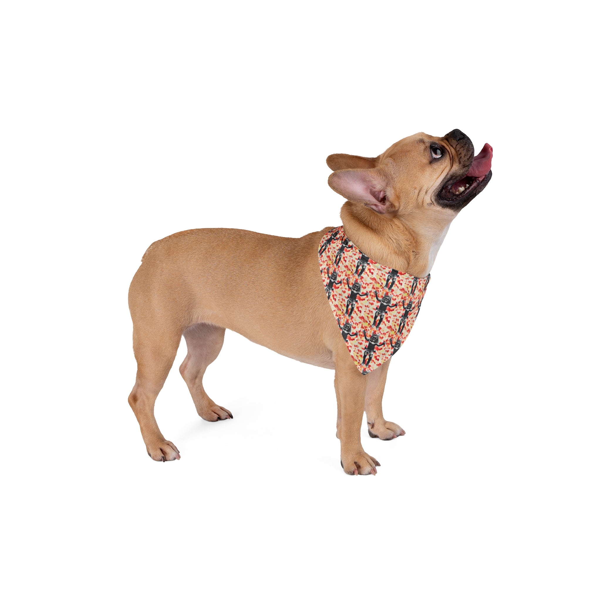 Diablo de Tilcajete — Pet Bandana | Alma Ligera